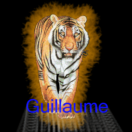 Tigre